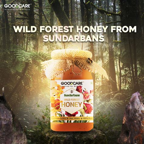GoodCare Wild Forest Honey – Natural, Antioxidant-Rich & Immunity Boos