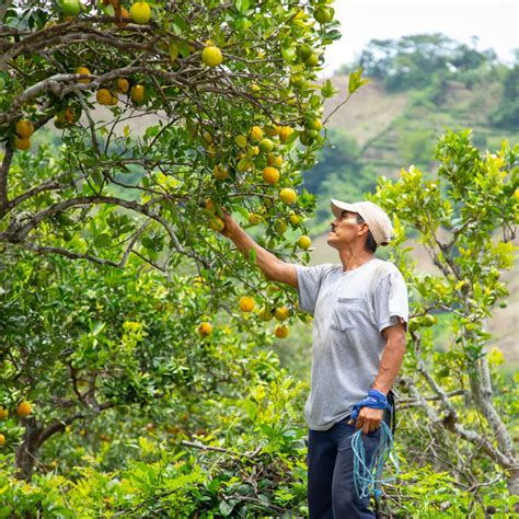 Resources - InvestElSalvador - exports of el salvador