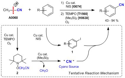 A Novel Cyanation Reaction of Arenes Using Acetonitrile as a Cyano ...