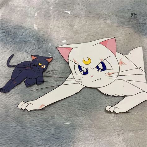 Sailor Moon Artemis Cat