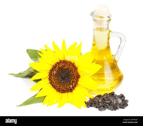 Seed for oil hi-res stock photography and images - Alamy