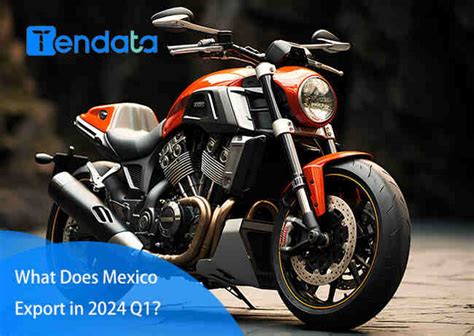 Image result for Export Process MX