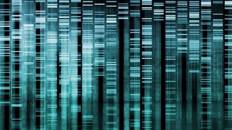 Image result for Genetic Code Videos