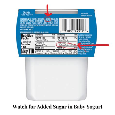 The Best Yogurt for Your Baby: Top 10 Yogurts for 6 Months