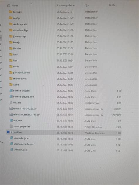 Forge Server Tutorial 的图像结果