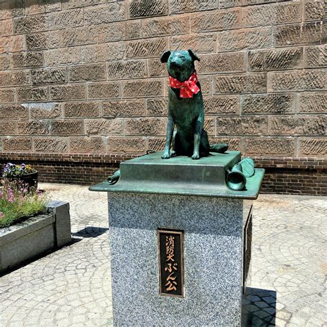 FIREFIGHTER DOG BUNKO STATUE Guide (2026) All You Need to Know BEFORE ...