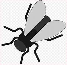 ausmalbilder insekten kostenlos 56 das beste ausmalbilder insekten bilder in 2020 mit ausmalbilder insekten kostenlos 56 das beste ausmalbilder insekten bilder in 2020 mit