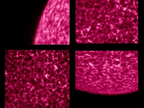Solar Orbiter Mission Shares Closest Ever Images Of The Sun