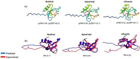 In Silico Evaluation, Phylogenetic Analysis, and Structural Modeling of ...