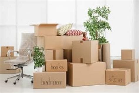 Star India Packing Solutions | Rating, Reviews & Rates