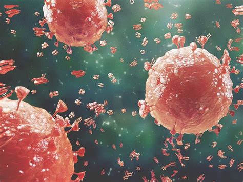 Image result for Pathogen Explanation