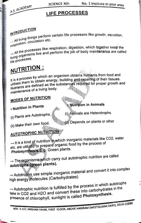 Chapter Life Processes Class 10 Shubham Pathak 的图像结果