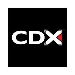 CDX Online Learning Program 的图像结果