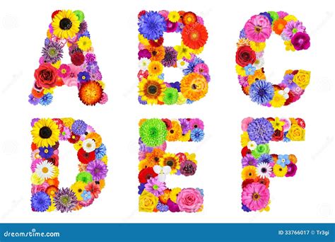 Image result for JSON Text Format Example