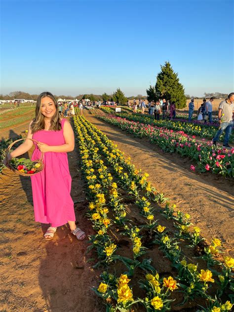 A Guide to Texas Tulips: All You Need to Know To Plan Your Visit ...