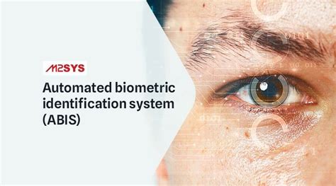 Automated Biometric Identification System 的图像结果