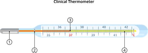 Give long answer I — task. Science State Board, Class 7.