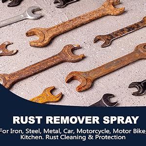 Rustaino Rust Remover Spray 100 ml for Iron, Steel & Metal