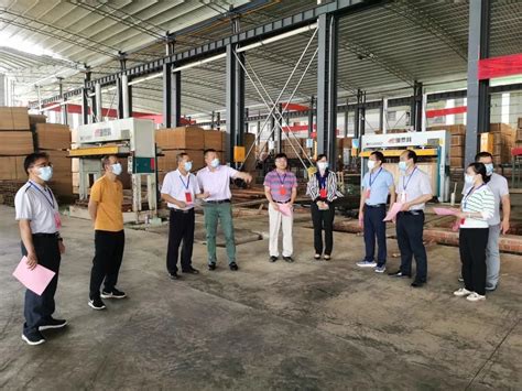 南宁隆安县助力林业加工产业转型升级-中国木业网