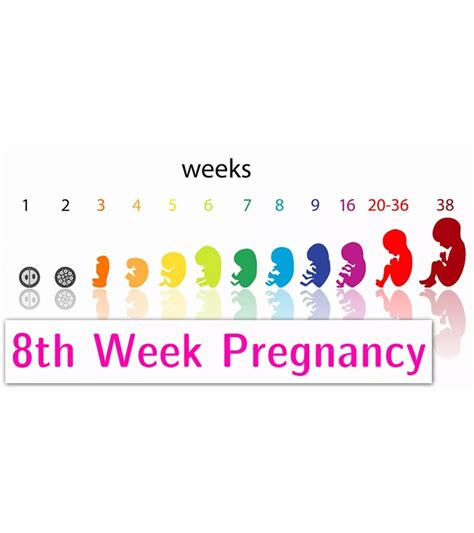 39 Weeks Pregnant: 5 Key Pointers On Baby Size & Labor Signs