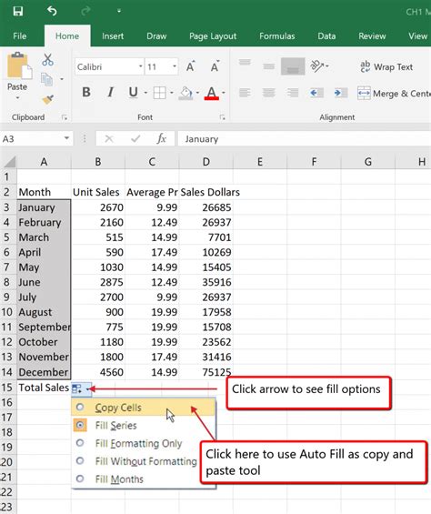 Image result for Auto Fill Options Button Excel