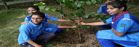 Government Arts Girls College Kota