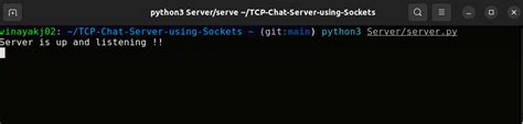 Image result for Python Client to Client Chat App Using Socket and Server