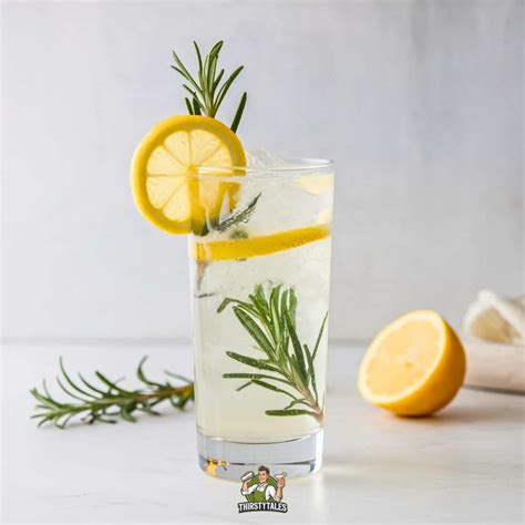 Rosemary Gin Fizz Cocktail Recipe - Thirsty Tales