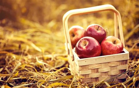 Download wallpaper nature, background, basket, apples, hay, section ...