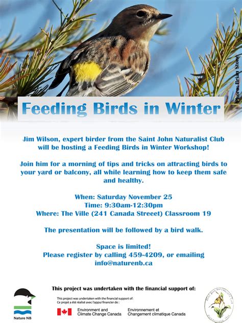 Feeding Birds in Winter Workshop - Nature NB