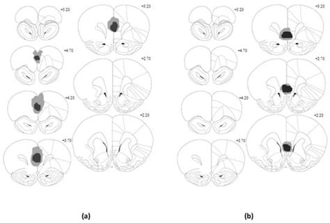 Brain Sciences | Special Issue : The Multi-Dimensional Contributions of ...