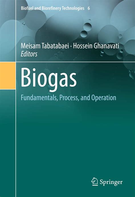 Biogas: Fundamentals, Process, and Operation: 6 (Biofuel and ...