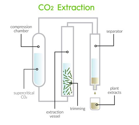 Image result for CBD Extraction Methods