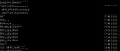 Install Python 3.10 的图像结果