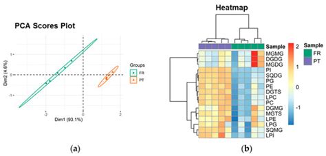 Polar Lipids of Commercial Ulva spp. of Different Origins: Profiling ...