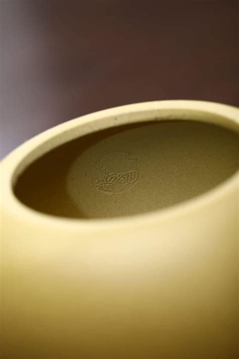 Liangbaobao Xishi Teapot 15oz Chinese Zisha Clay Pot Ceramics India | Ubuy
