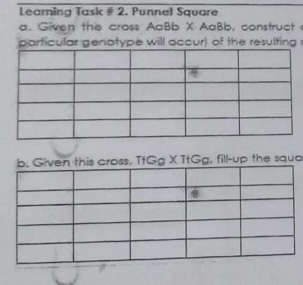 Leaming Task # 2. Punnet Squarea. Given the cross AcBb Xhobb, construct ...