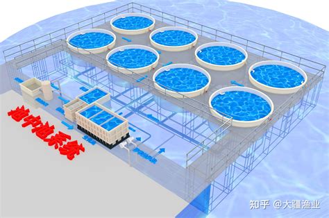 水产养殖监控系统，赋予水产养殖新模式-南京及时雨农业科技有限公司