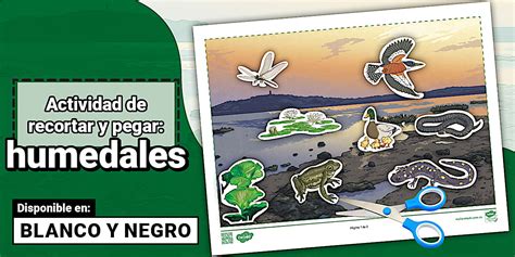 Actividad sobre los humedales - 02 de febrero