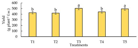 Nitrogen Assimilation, Biomass, and Yield in Response to Application of ...