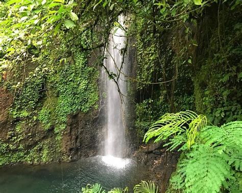 Purwokerto Tourism (2024): All You Need to Know Before You Go