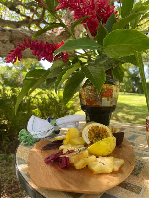 HIDDEN SPRINGS JAMAICA (Discovery Bay) - Campground Reviews & Photos ...