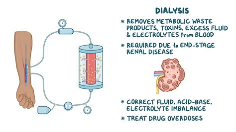 Dialysis - Osmosis Video Library