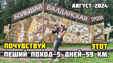 Большая Валдайская тропа август 2024: поход в лес. Валдайский ...