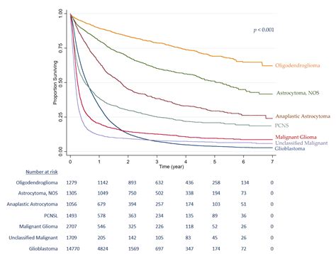 The Influence of Ethnicity on Survival from Malignant Primary Brain ...