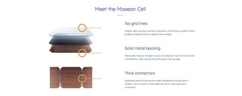 Maxeon Solar Panels Review 的图像结果