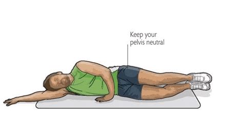 Image result for Clam Additonal Exercises