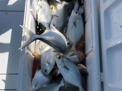 KELLY’S GREEN SPORTFISHING (2026) All You Need to Know BEFORE You Go ...