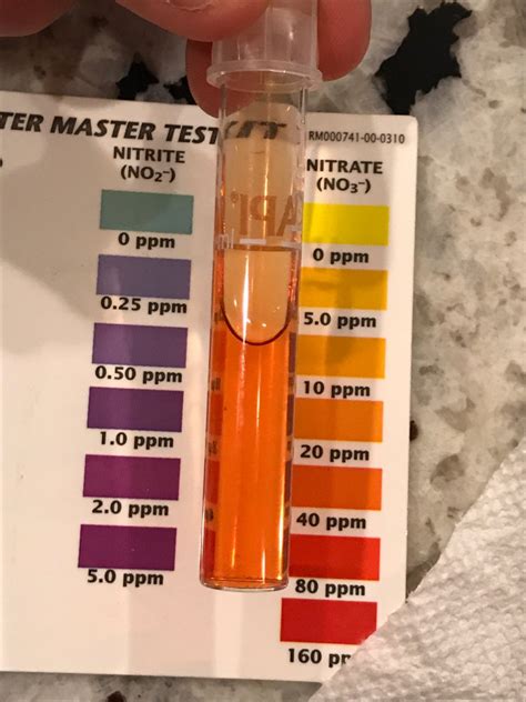 Image result for API Nitrate Test