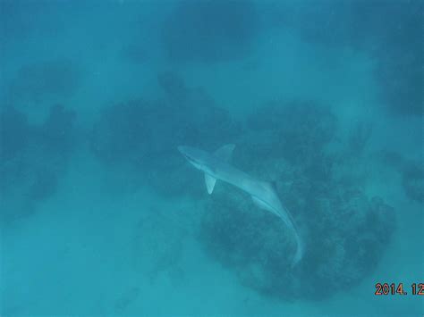 MINI BOAT ADVENTURES (2026) All You Need to Know BEFORE You Go (with ...